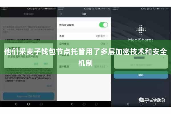 他们采麦子钱包节点托管用了多层加密技术和安全机制